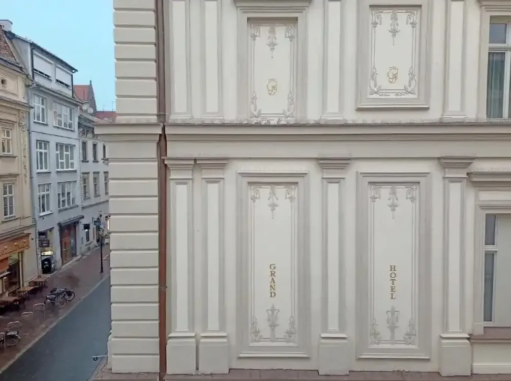 Dąb węgierski